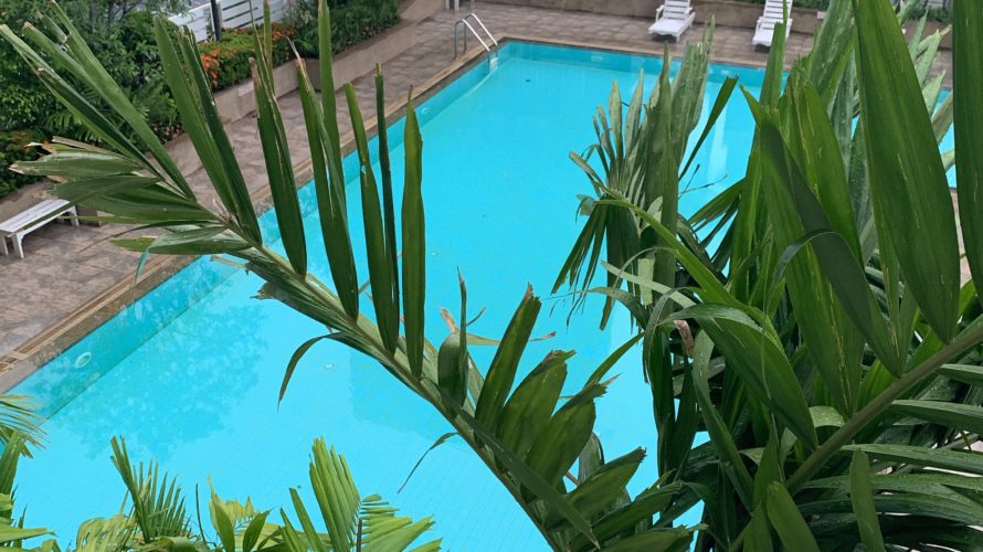 1日に2回の水泳ってどうよ