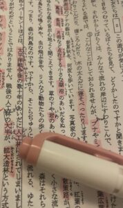絶望のピンクマーカーと楽しもうの呪文